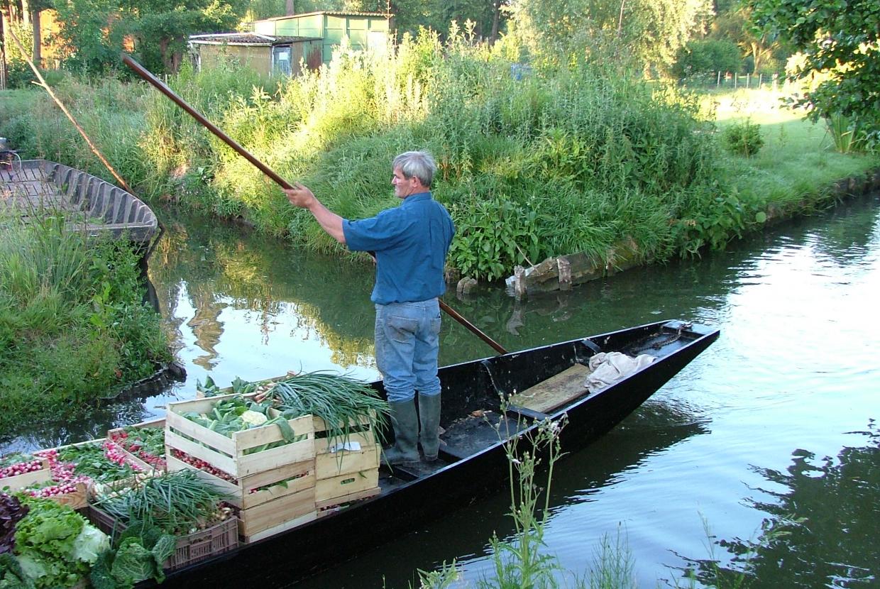 Maraîcher des hortillonnages d'Amiens sur sa barque chargée de légumes.