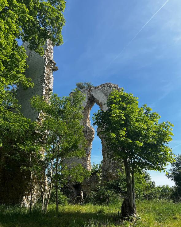 Château de Boves